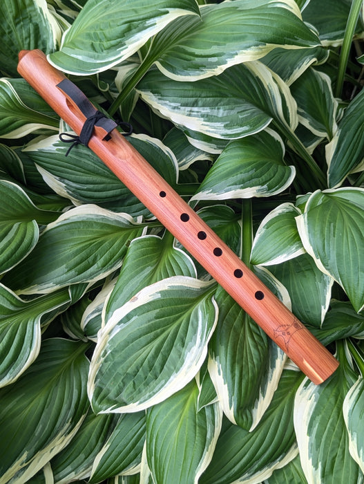 Butch Hall Flutes - Starter Series [A4] Native American-Style Flute - Little Horse