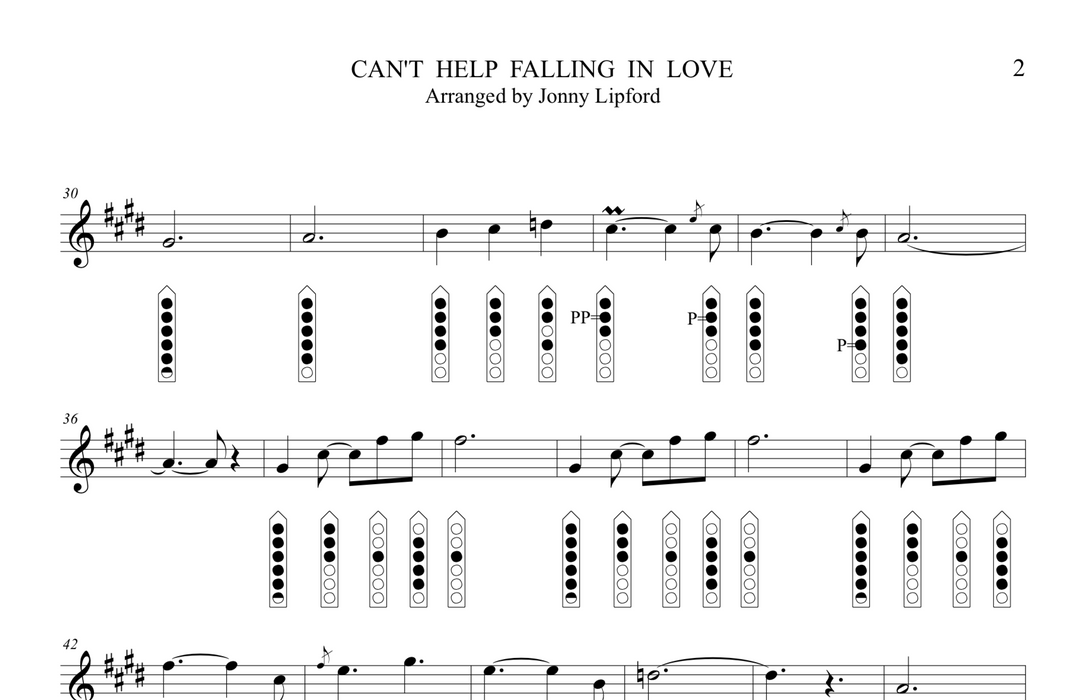 Nakai TAB, a method of writing sheet music Native American Flutes shows the song Can't Help Falling in Love by Jonny Lipford
