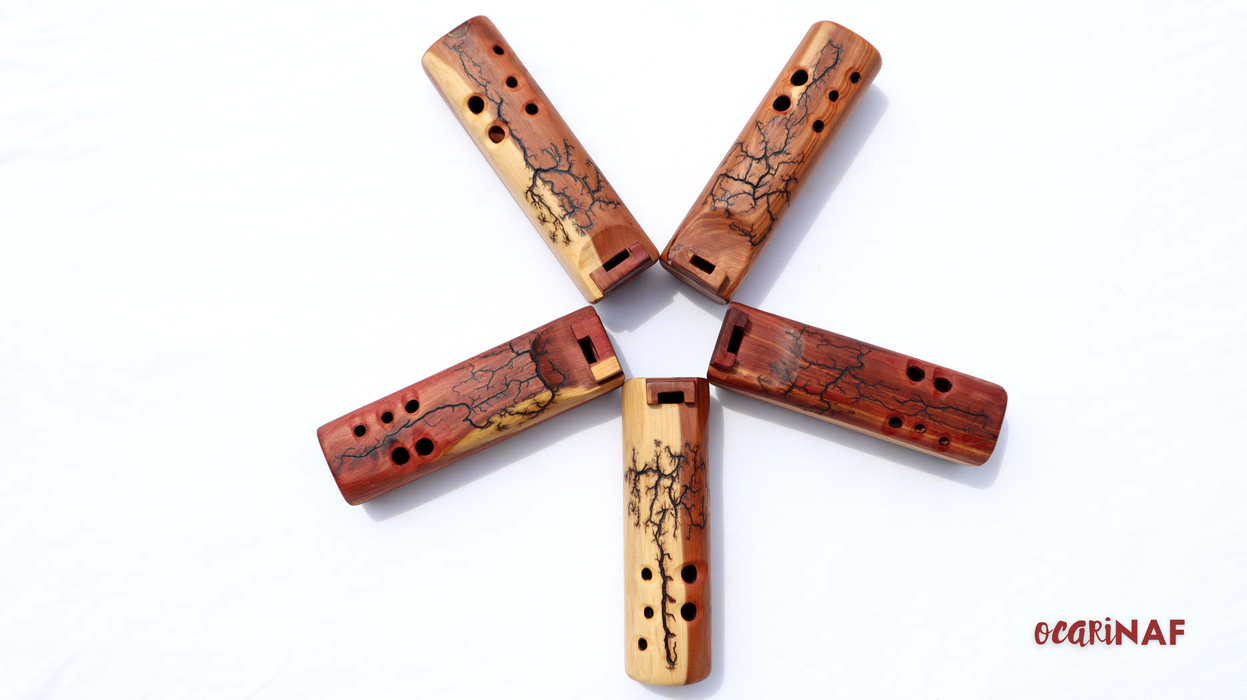 OcariNAF [Part flute, part ocarina!]