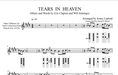 Nakai Tab shown for the Native American flute sheet music