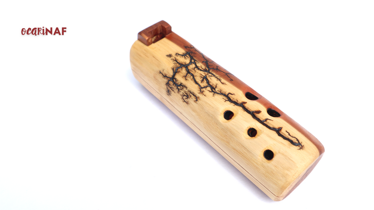 OcariNAF [Part flute, part ocarina!]