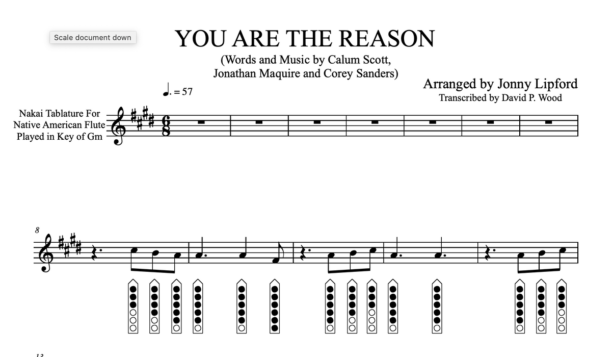 You are the reason cheap flute