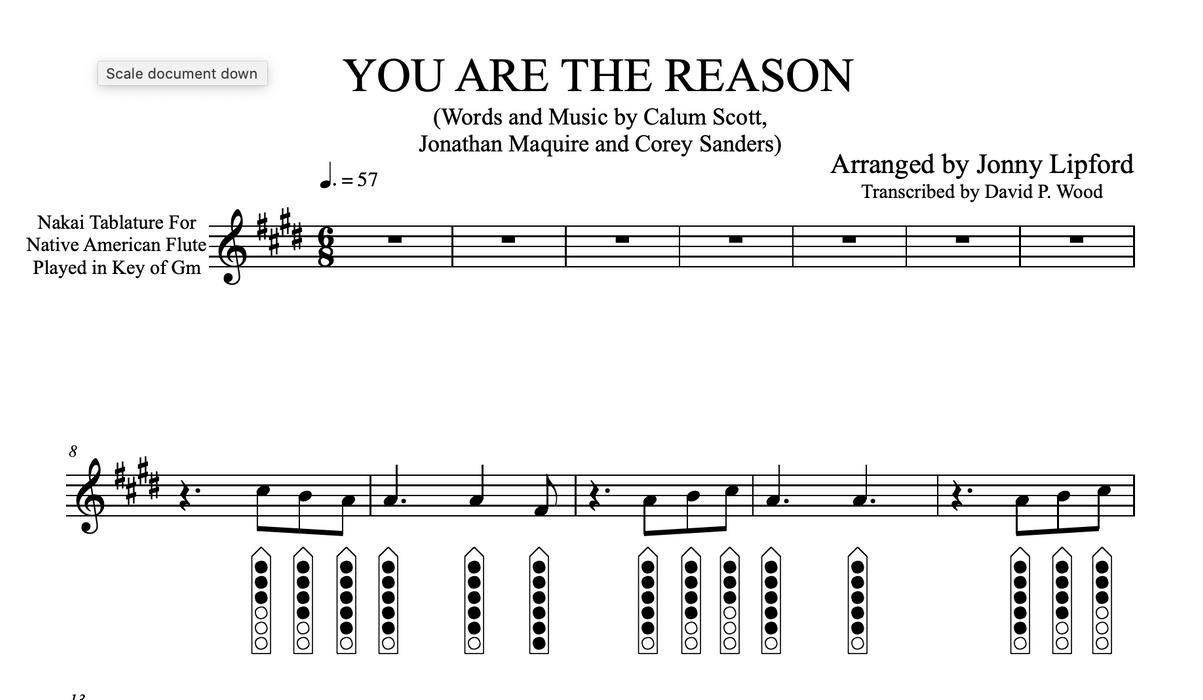 You Are The Reason - Sheet Music for Native American Flute [PDF]